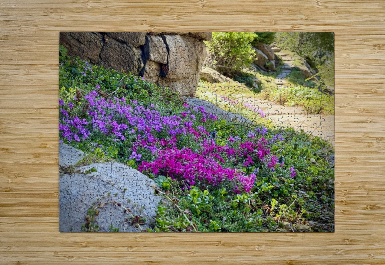 Spring flowers in Ohme Gardens Leslie Affeldt Photography Puzzle printing
