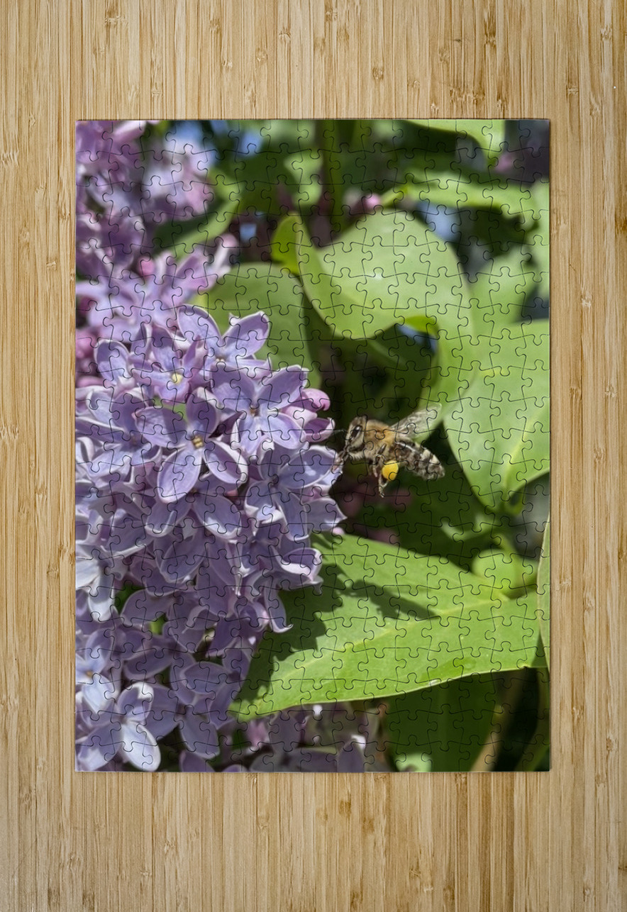 Saving the World Leslie Affeldt Photography Puzzle printing