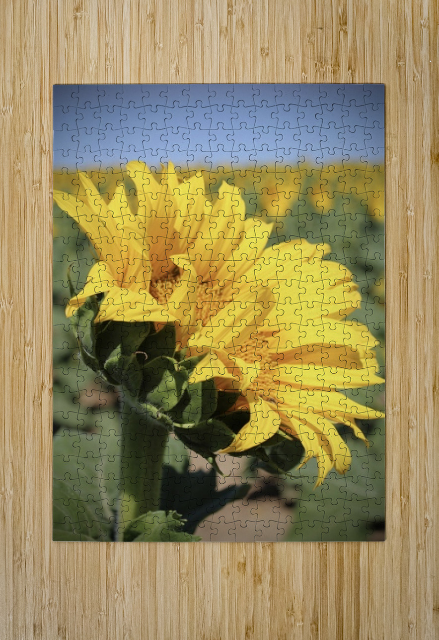 This is my best side Leslie Affeldt Photography Puzzle printing