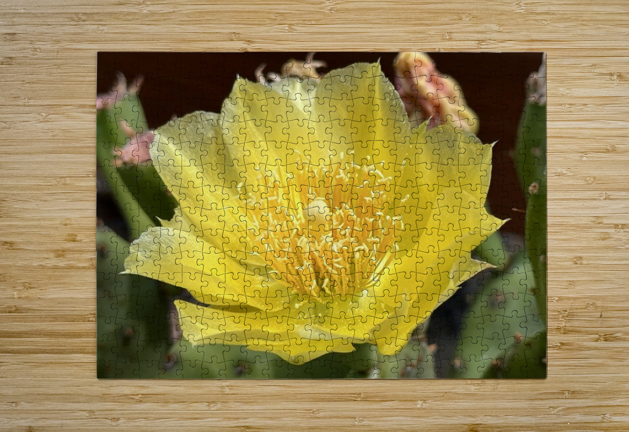 Prickly Pear Bloom -1 Leslie Affeldt Photography Puzzle printing