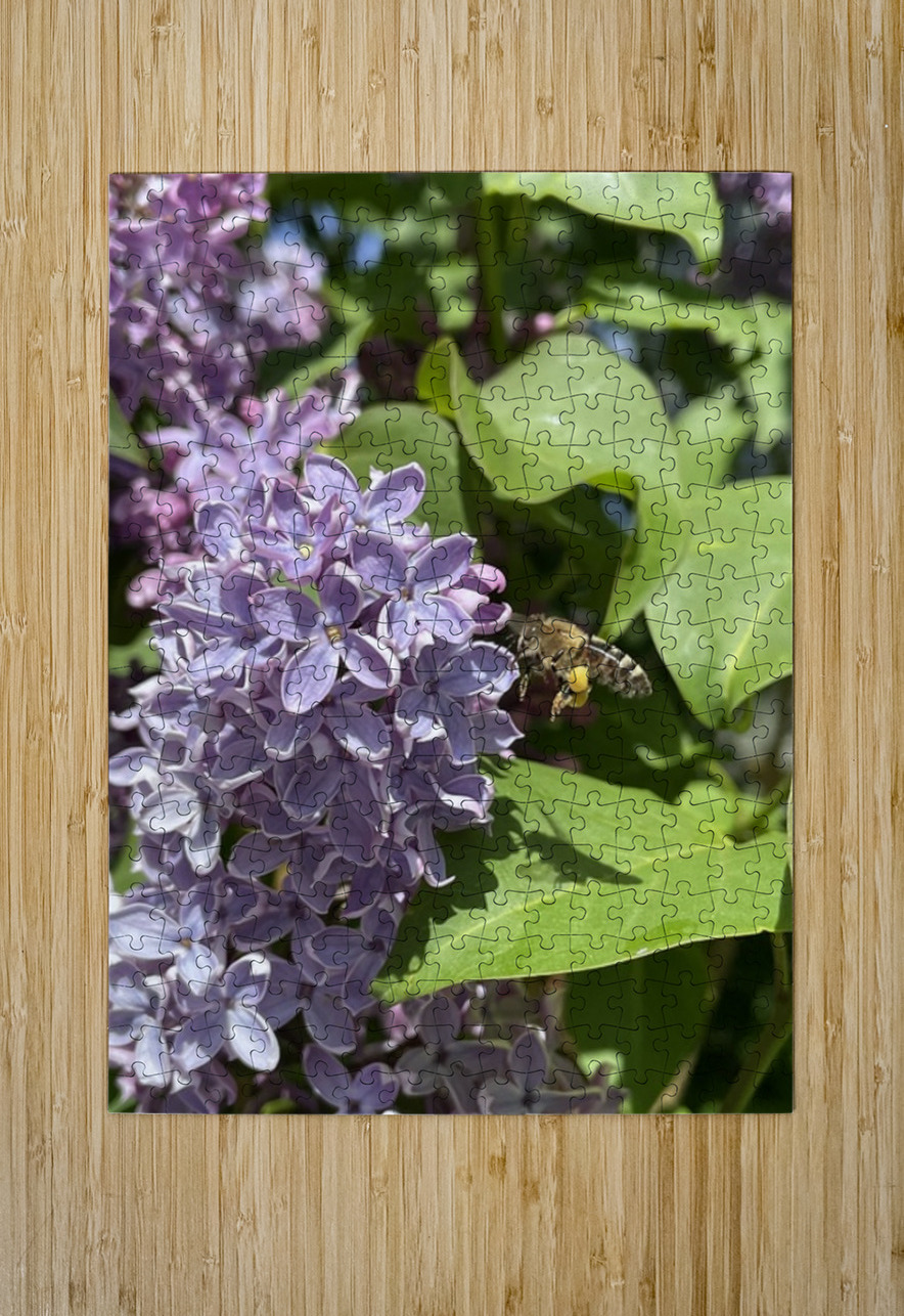 Bee-live  Leslie Affeldt Photography Puzzle printing