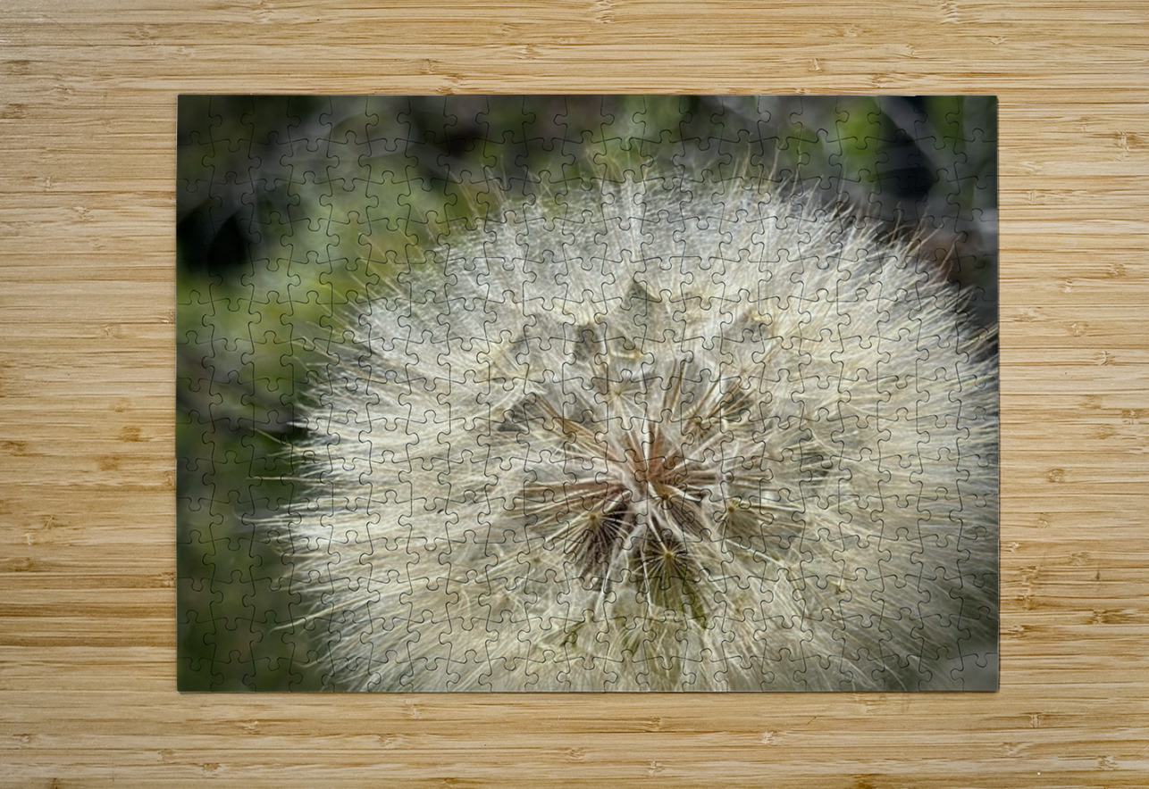 Dandelion Head Leslie Affeldt Photography Puzzle printing