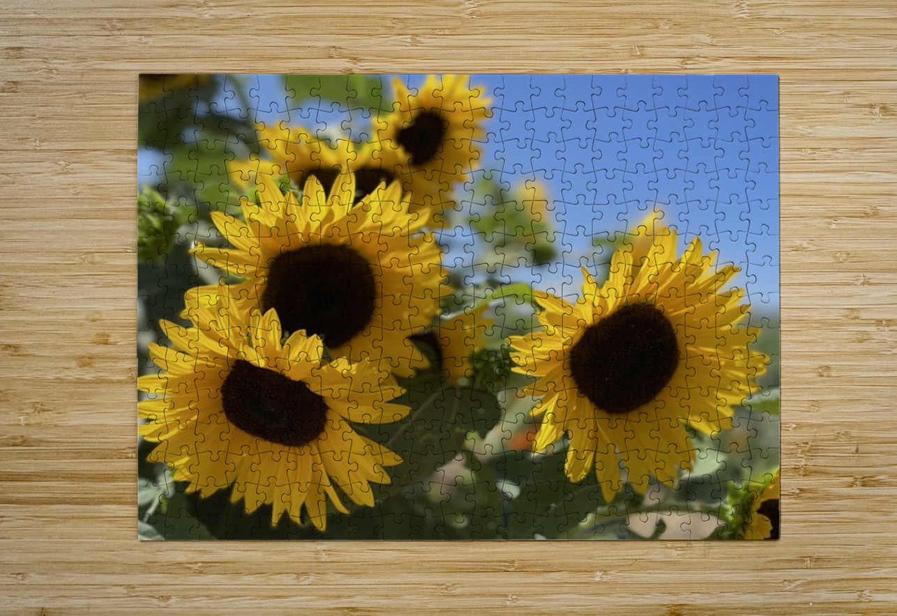 Happy Sunflowers Leslie Affeldt Photography Puzzle printing