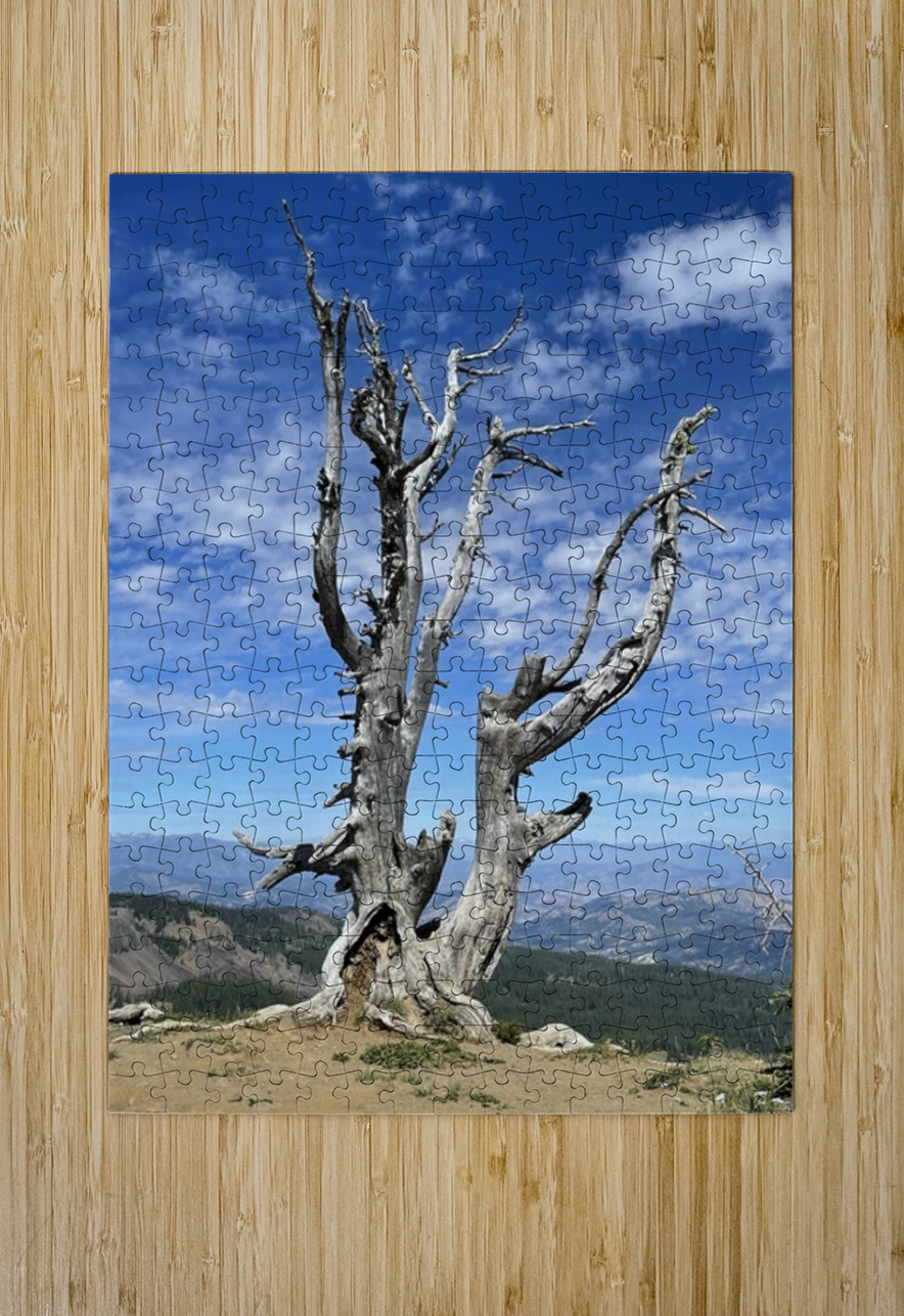 Tree overlooking Wenatchee Leslie Affeldt Photography Puzzle printing