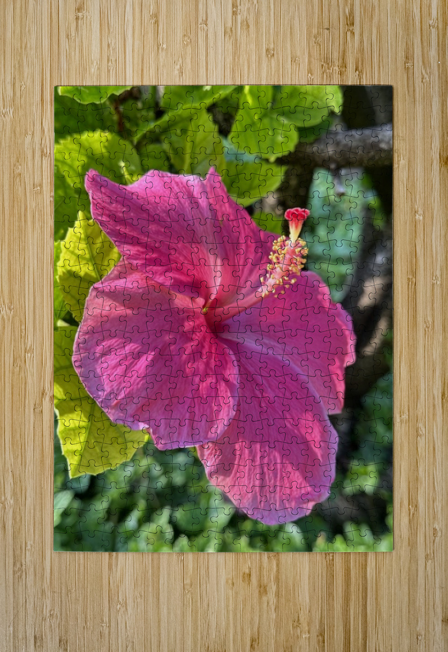 Pink Hibiscus Leslie Affeldt Photography Puzzle printing