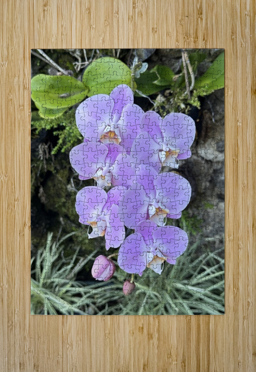 Orchid Leslie Affeldt Photography Puzzle printing