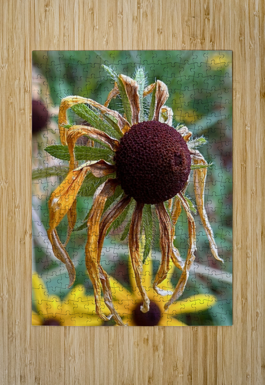 Time Served Leslie Affeldt Photography Puzzle printing