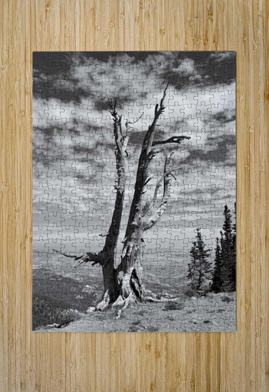 Wenatchee Overlook - black and white Leslie Affeldt Photography Puzzle printing