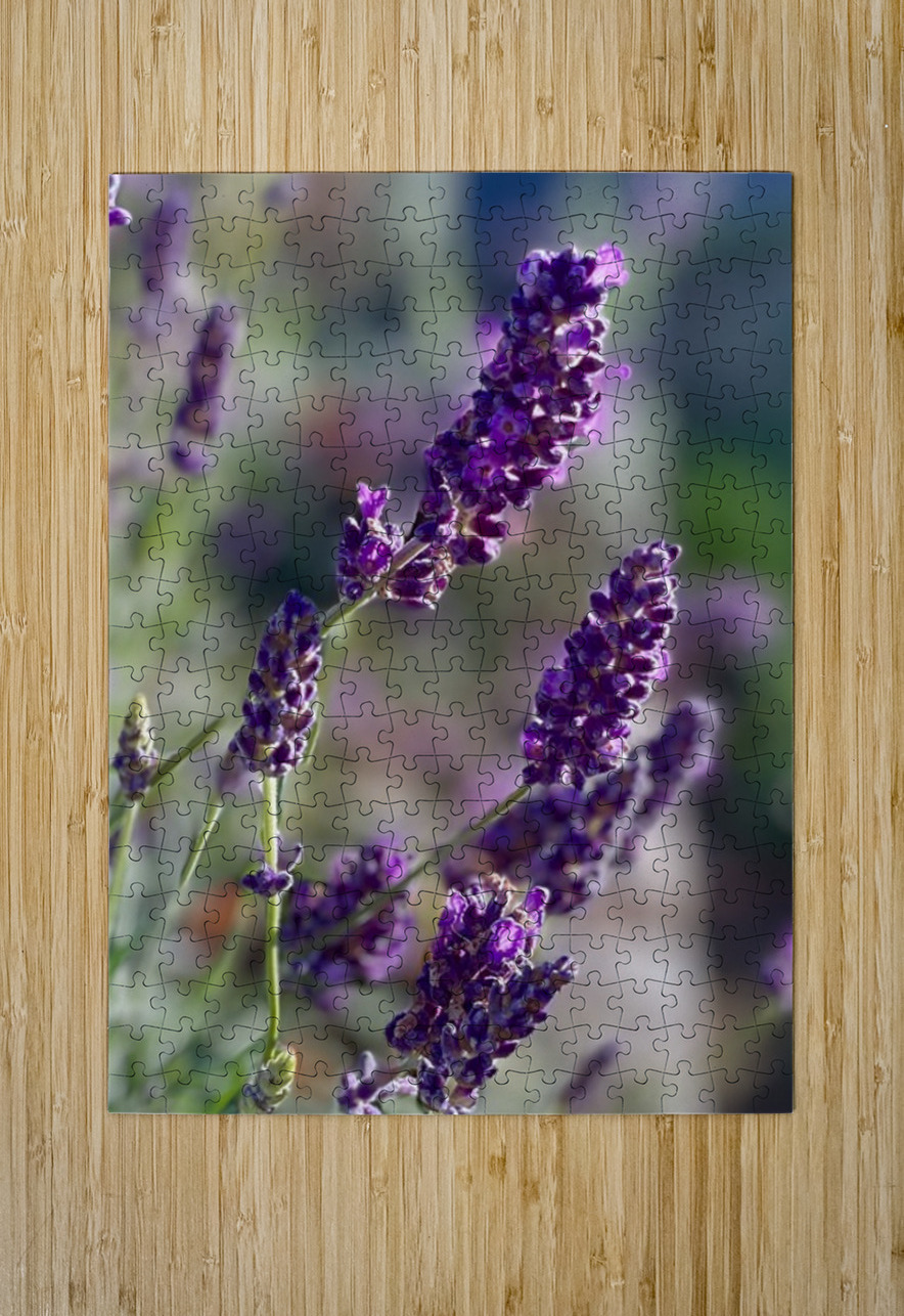 Lavender  Leslie Affeldt Photography Puzzle printing