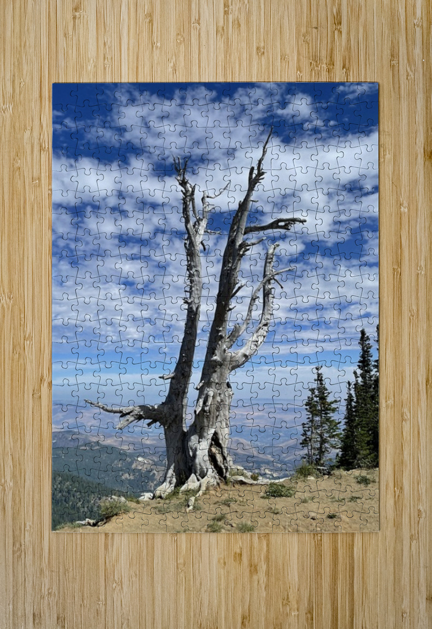 Wentachee Overlook - color Leslie Affeldt Photography Puzzle printing