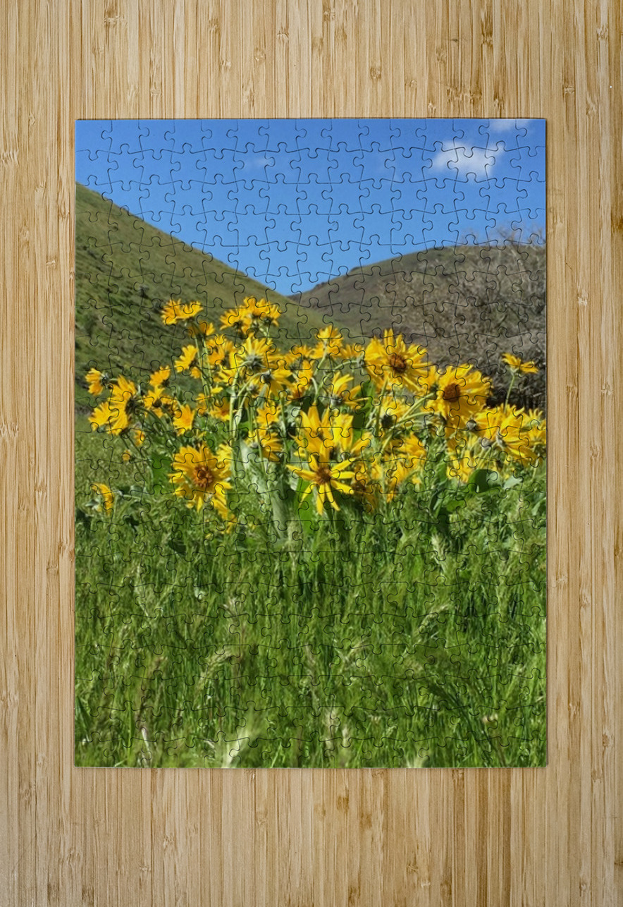 Balsam Root Wildflowers Leslie Affeldt Photography Puzzle printing