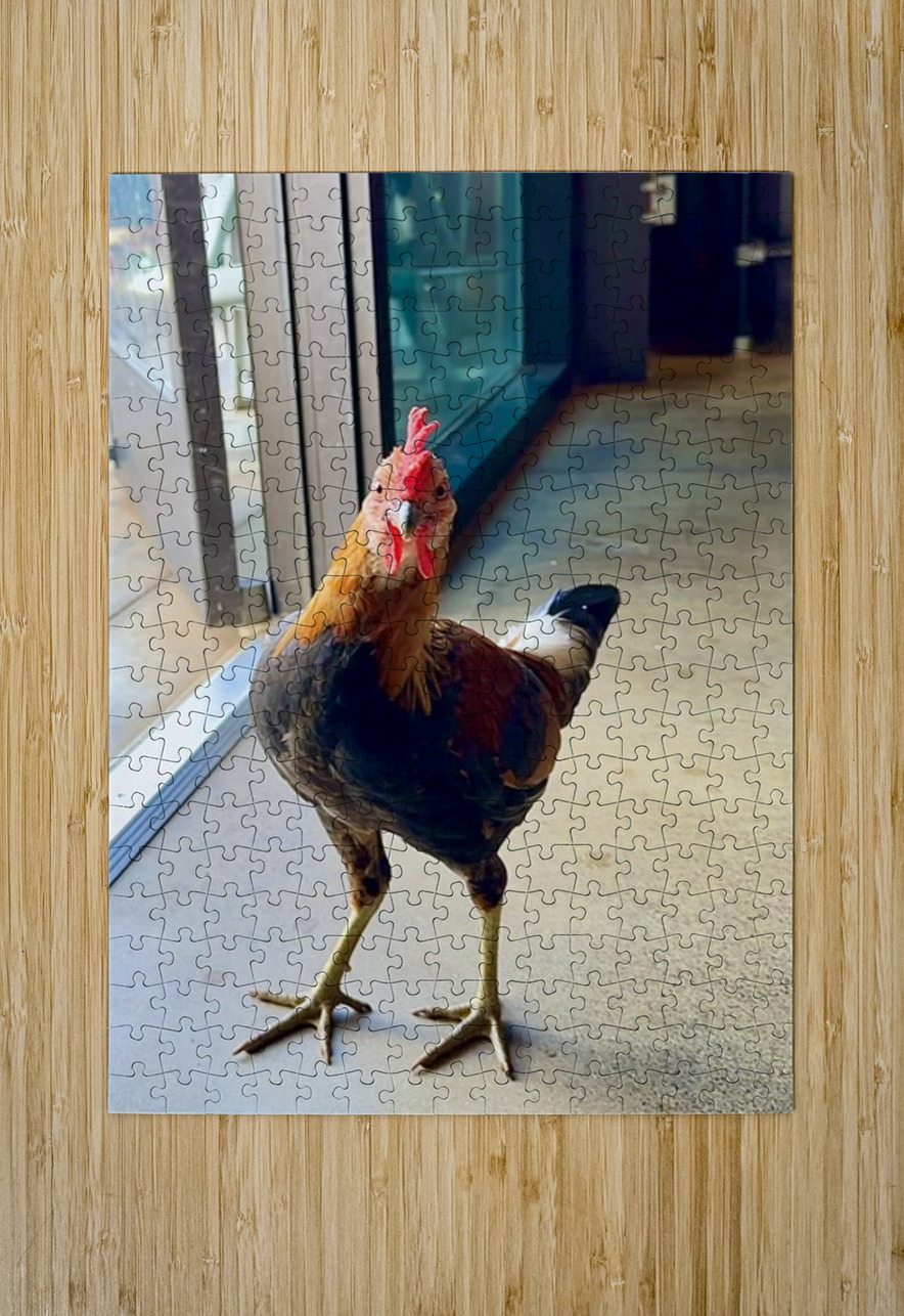 Hello can I help you  Leslie Affeldt Photography Puzzle printing