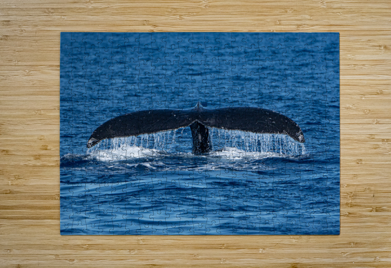 DSC09148 Leslie Affeldt Photography Puzzle printing