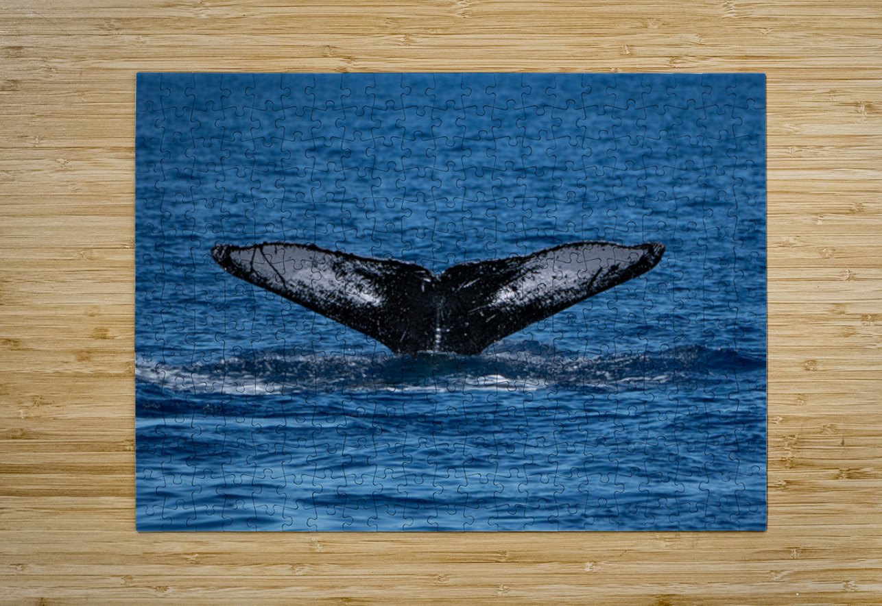 DSC09153 Leslie Affeldt Photography Puzzle printing