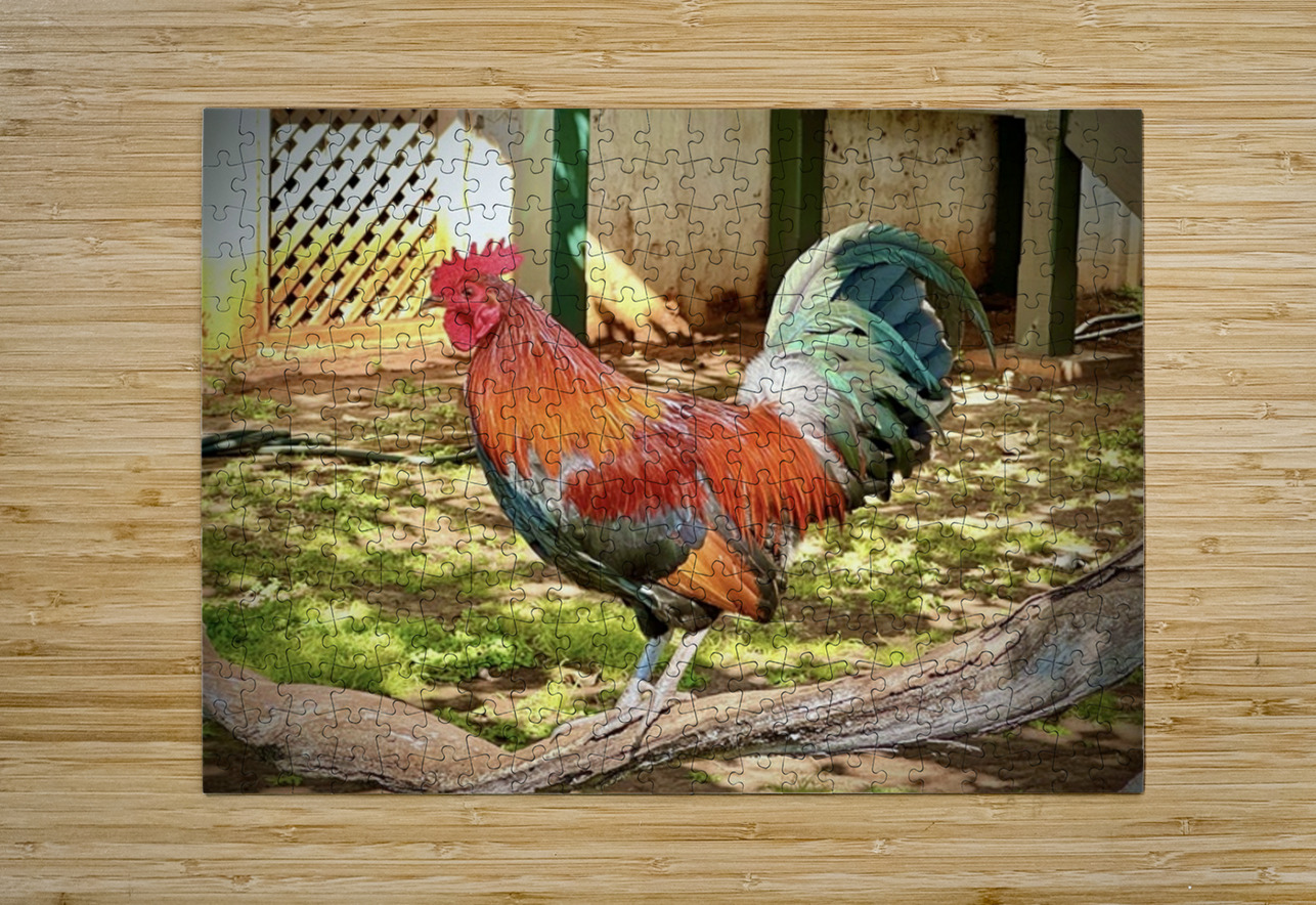 Maui Rooster Leslie Affeldt Photography Puzzle printing