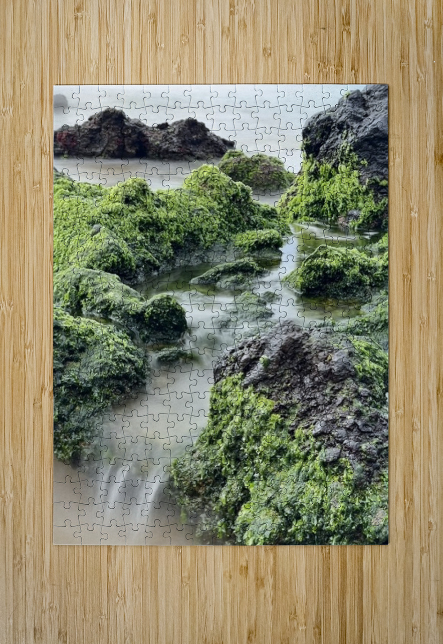 IMG 0839 Leslie Affeldt Photography Puzzle printing