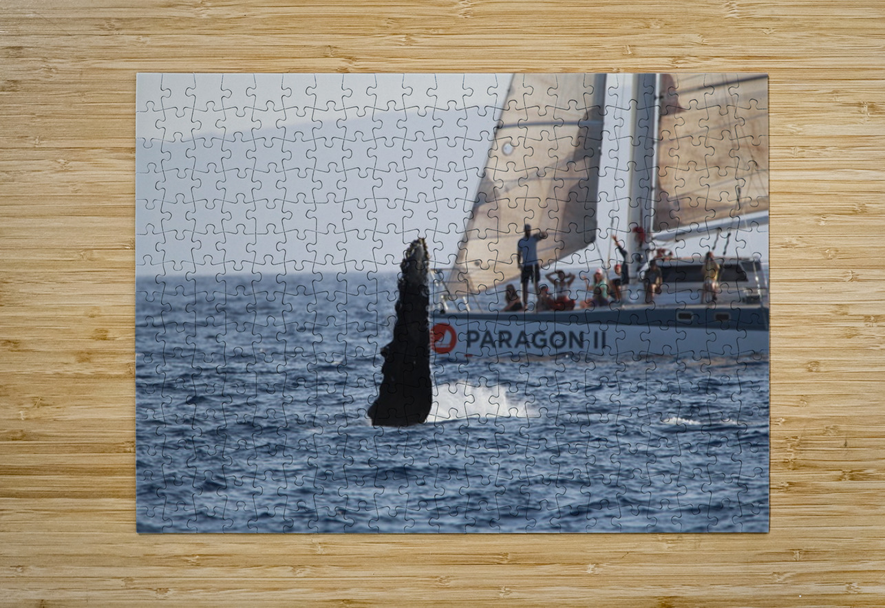 IMG 3364 Leslie Affeldt Photography Puzzle printing