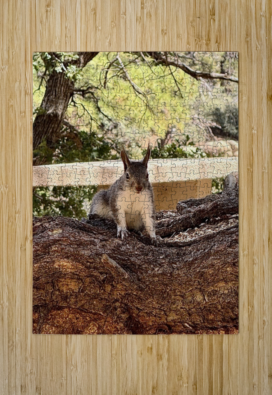 Albert’s Squirrel -2 Leslie Affeldt Photography Puzzle printing