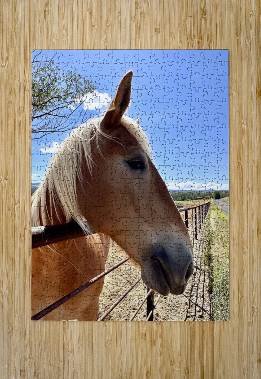 Hay Girl  Leslie Affeldt Photography Puzzle printing