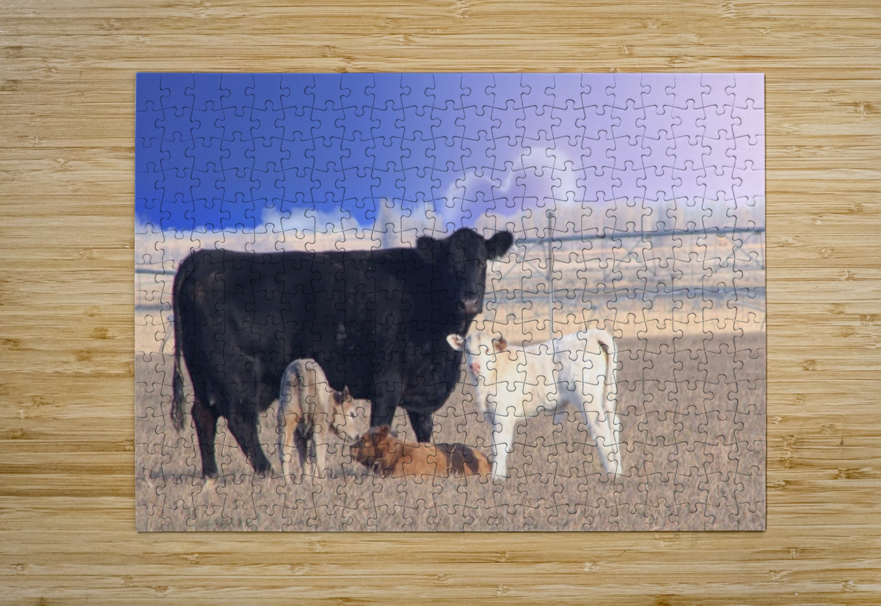 Calving Season Leslie Affeldt Photography Puzzle printing