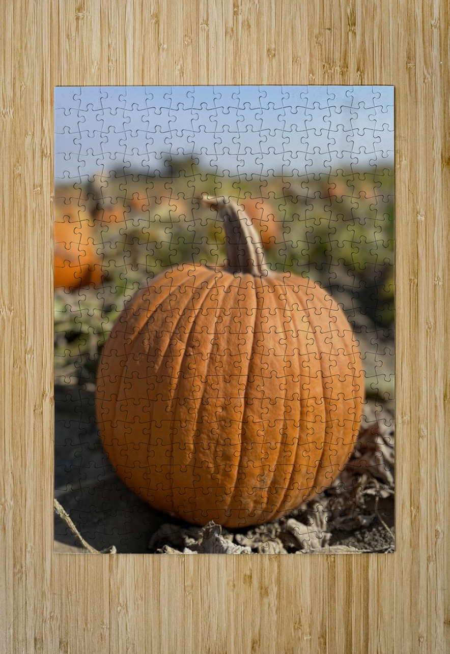 Fall Vibes Leslie Affeldt Photography Puzzle printing