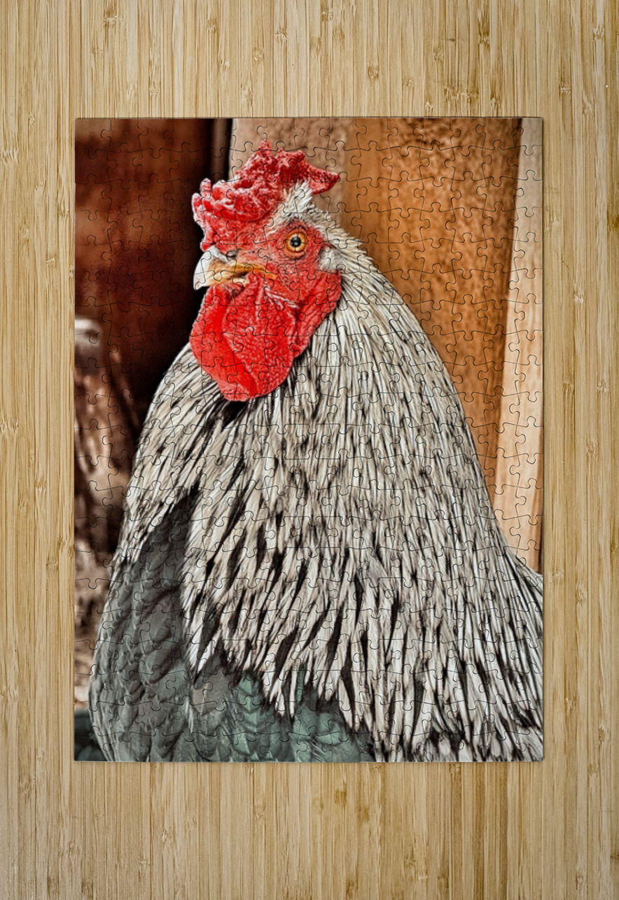 Rocky Leslie Affeldt Photography Puzzle printing