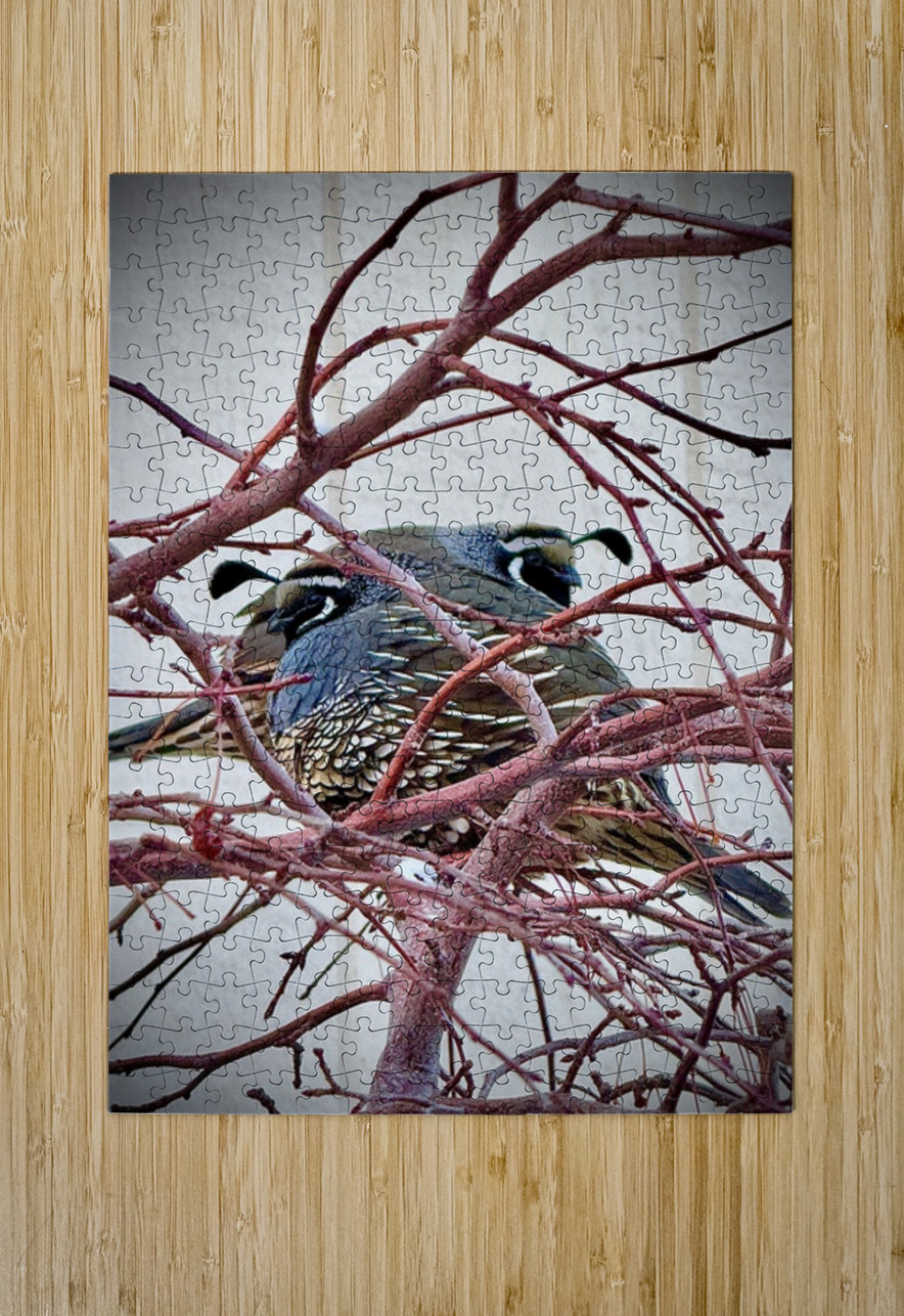 Winter Quail Leslie Affeldt Photography Puzzle printing