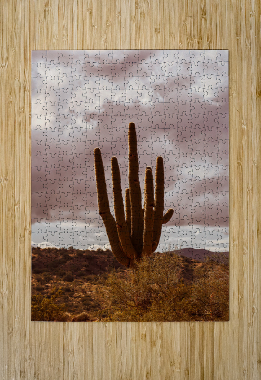 Sunlit Saguaro Leslie Affeldt Photography Puzzle printing