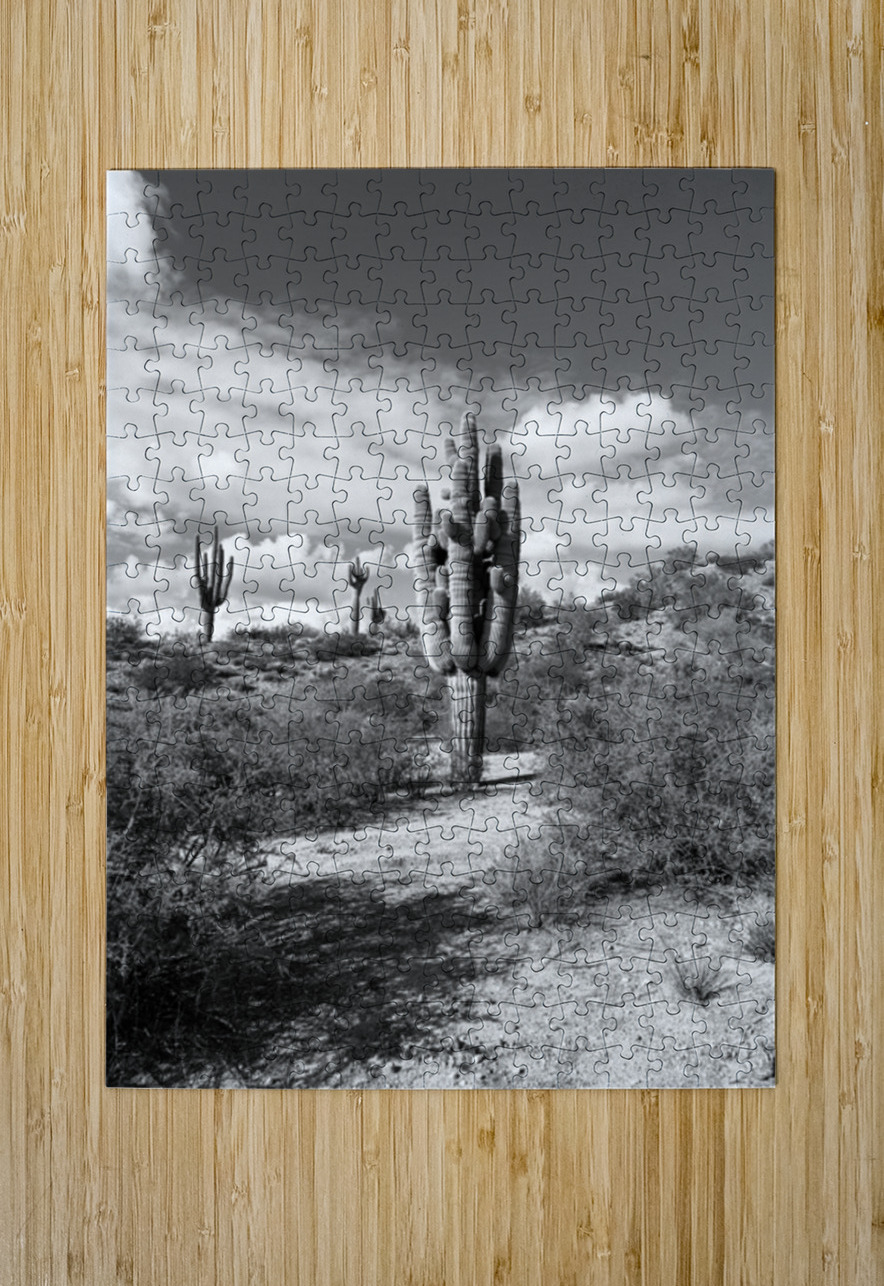 Fine Art Desert Leslie Affeldt Photography Puzzle printing