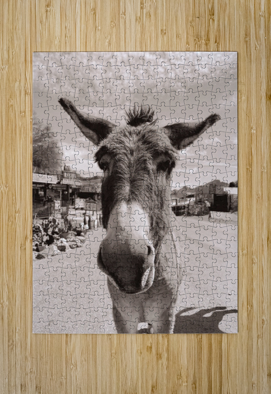 Oatman Donkey - Sepia tone Leslie Affeldt Photography Puzzle printing