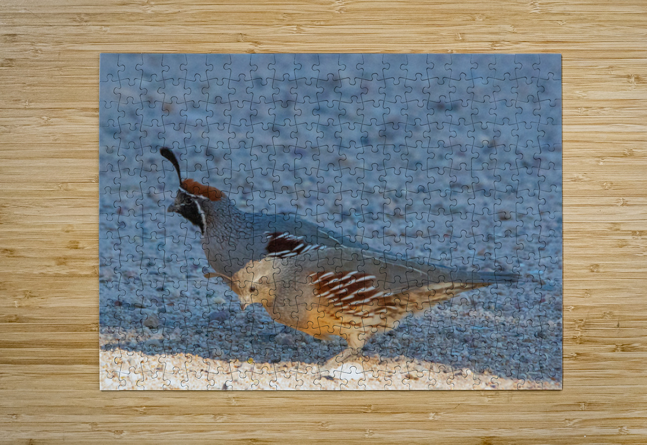 Quail Couple Leslie Affeldt Photography Puzzle printing