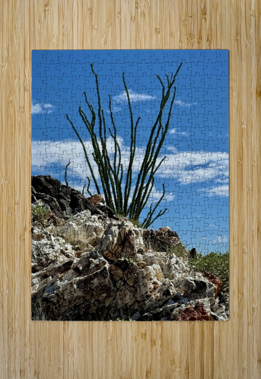 Quartz & Ocotillo    Leslie Affeldt Photography Puzzle printing