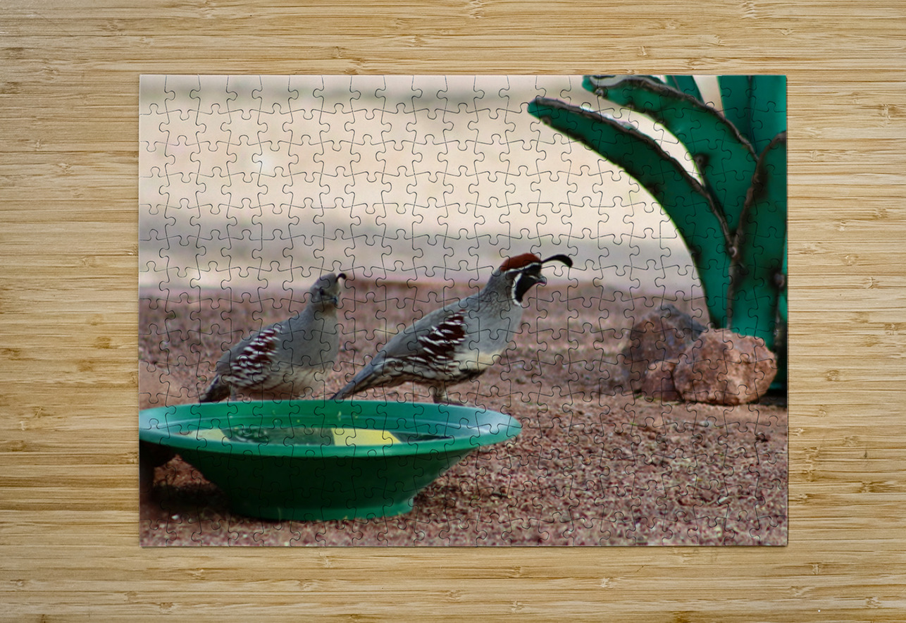 Ye Old Watering Hole Leslie Affeldt Photography Puzzle printing