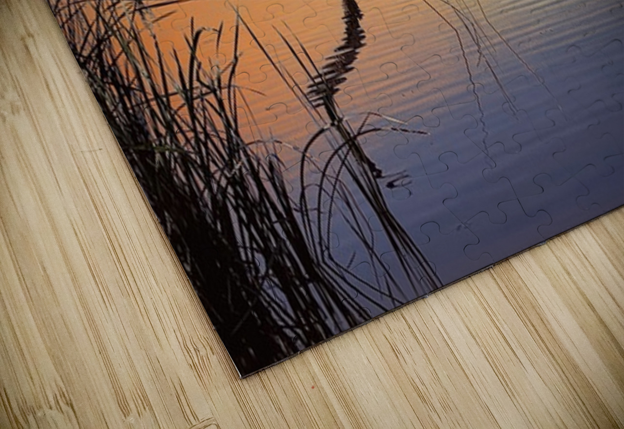 Catfish Paradise  Leslie Affeldt Photography Puzzle