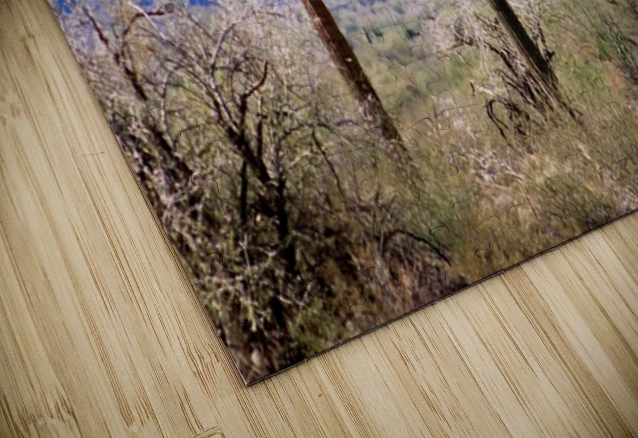 Blue Pastel Desert Leslie Affeldt Photography Puzzle