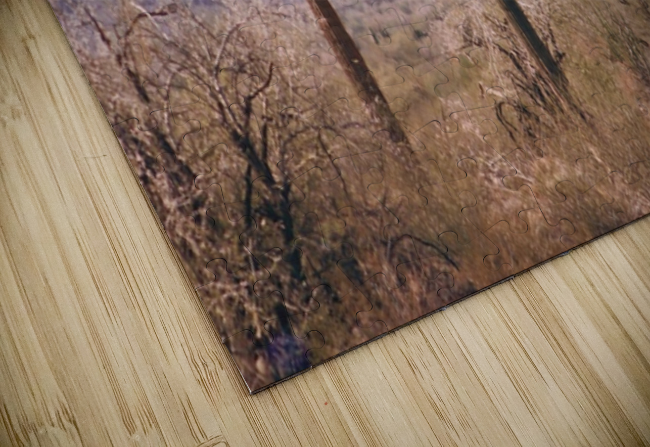 Pastel Desert Leslie Affeldt Photography Puzzle