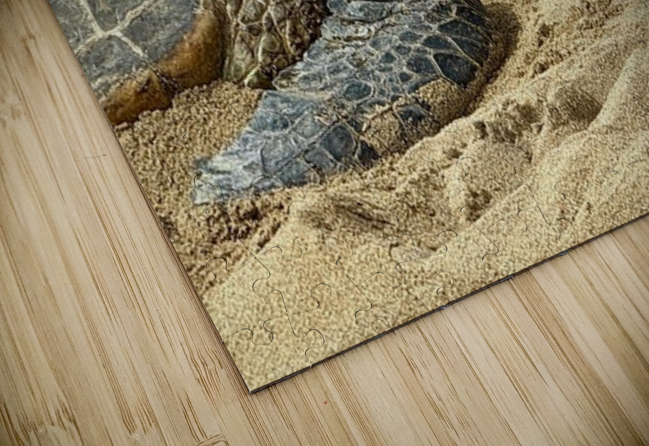 Turtle Couple Leslie Affeldt Photography Puzzle