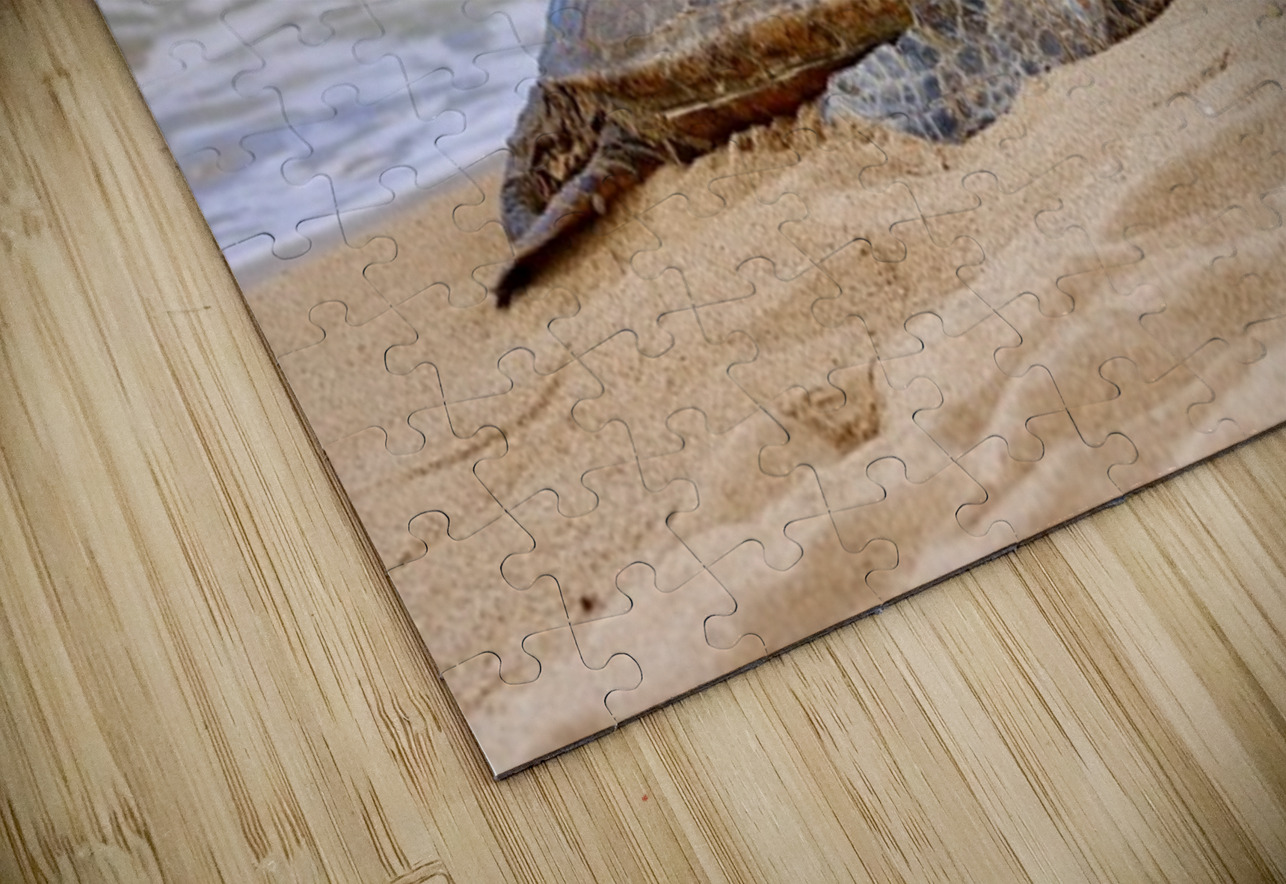 Maui Sea Turtle 1 Leslie Affeldt Photography Puzzle