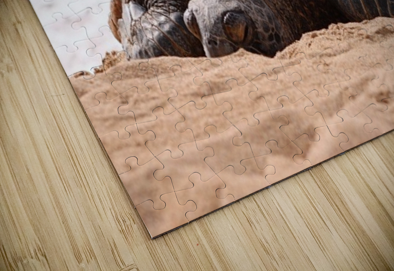 Maui Sea Turtle 2 Leslie Affeldt Photography Puzzle