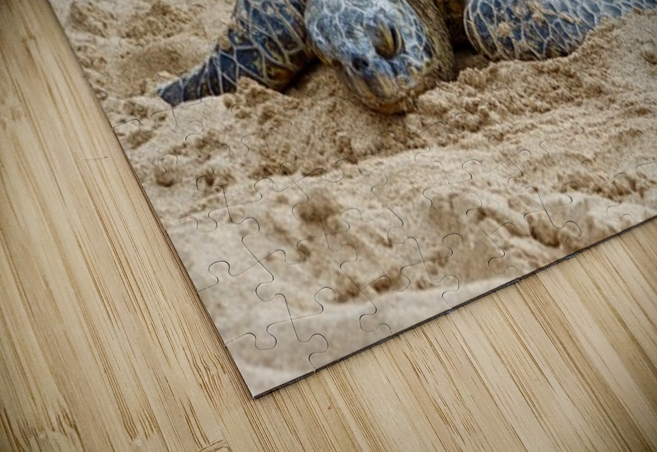 Maui Sea Turtle 3 Leslie Affeldt Photography Puzzle