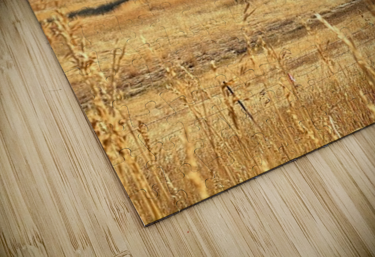 Dunford Barn 4 Leslie Affeldt Photography Puzzle