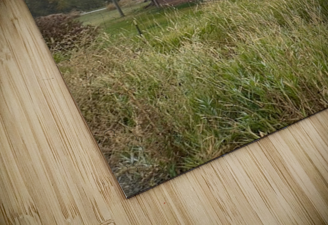 Barn in the mist 1 Leslie Affeldt Photography Puzzle
