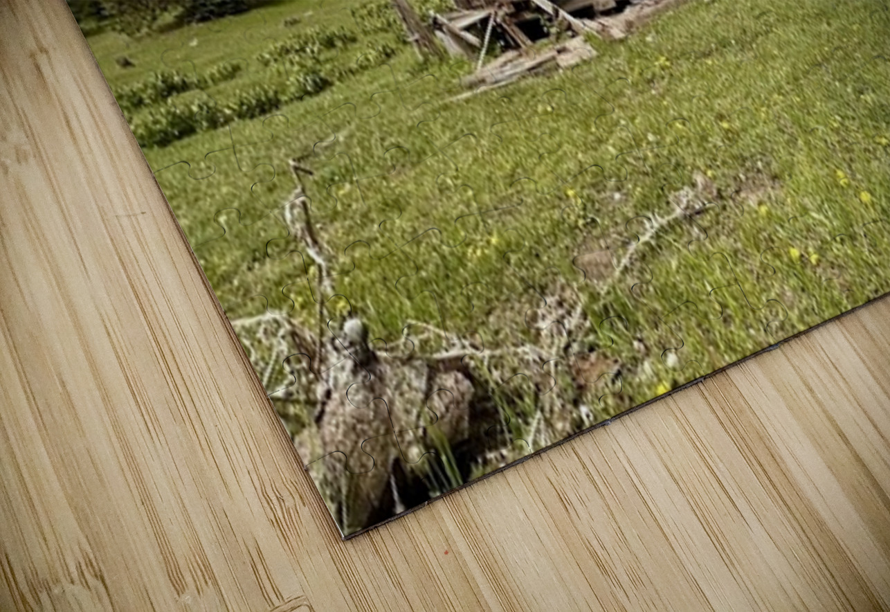 Colockum Ridge House Leslie Affeldt Photography Puzzle