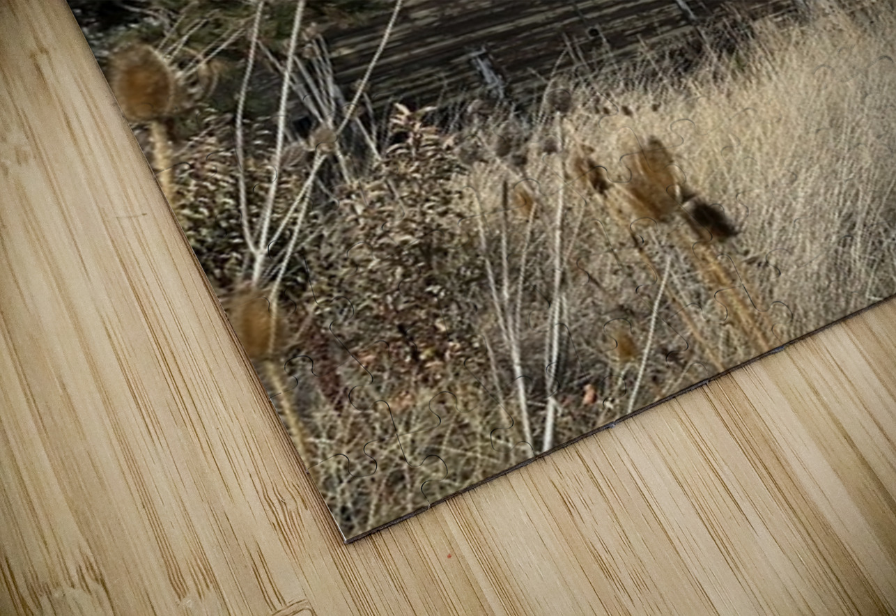 Colfax Barn 1 Leslie Affeldt Photography Puzzle