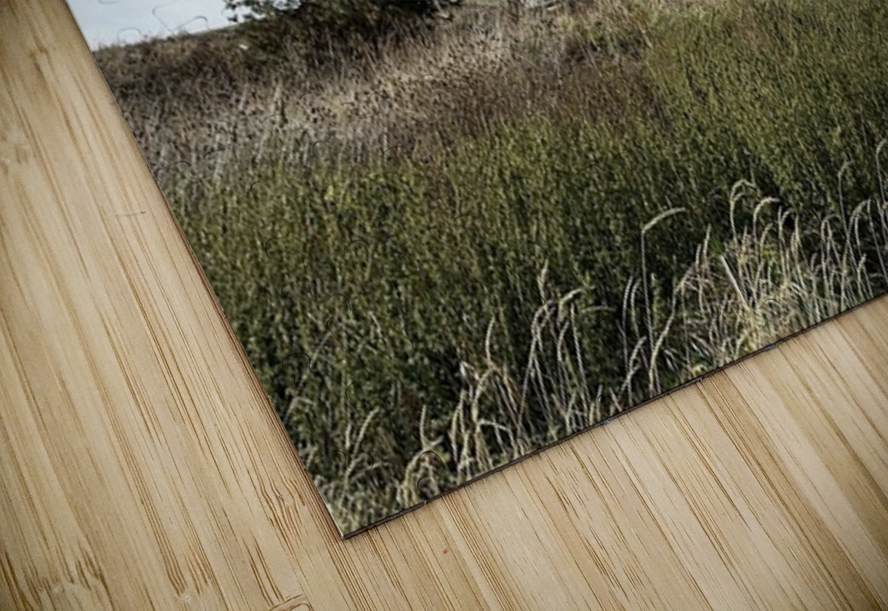 Colfax Barn 4 Leslie Affeldt Photography Puzzle