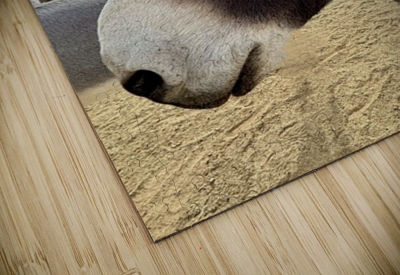 Ragnar Leslie Affeldt Photography Puzzle