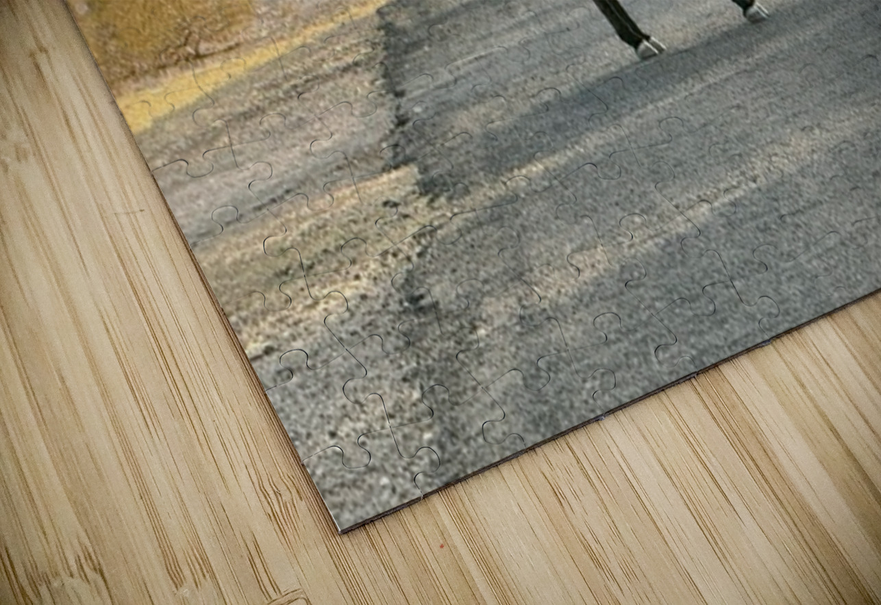 Donkey on my street Leslie Affeldt Photography Puzzle