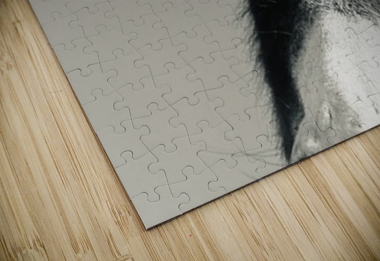 A burro named Stormy Leslie Affeldt Photography Puzzle