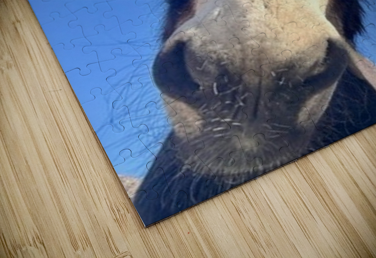 Stormy Leslie Affeldt Photography Puzzle