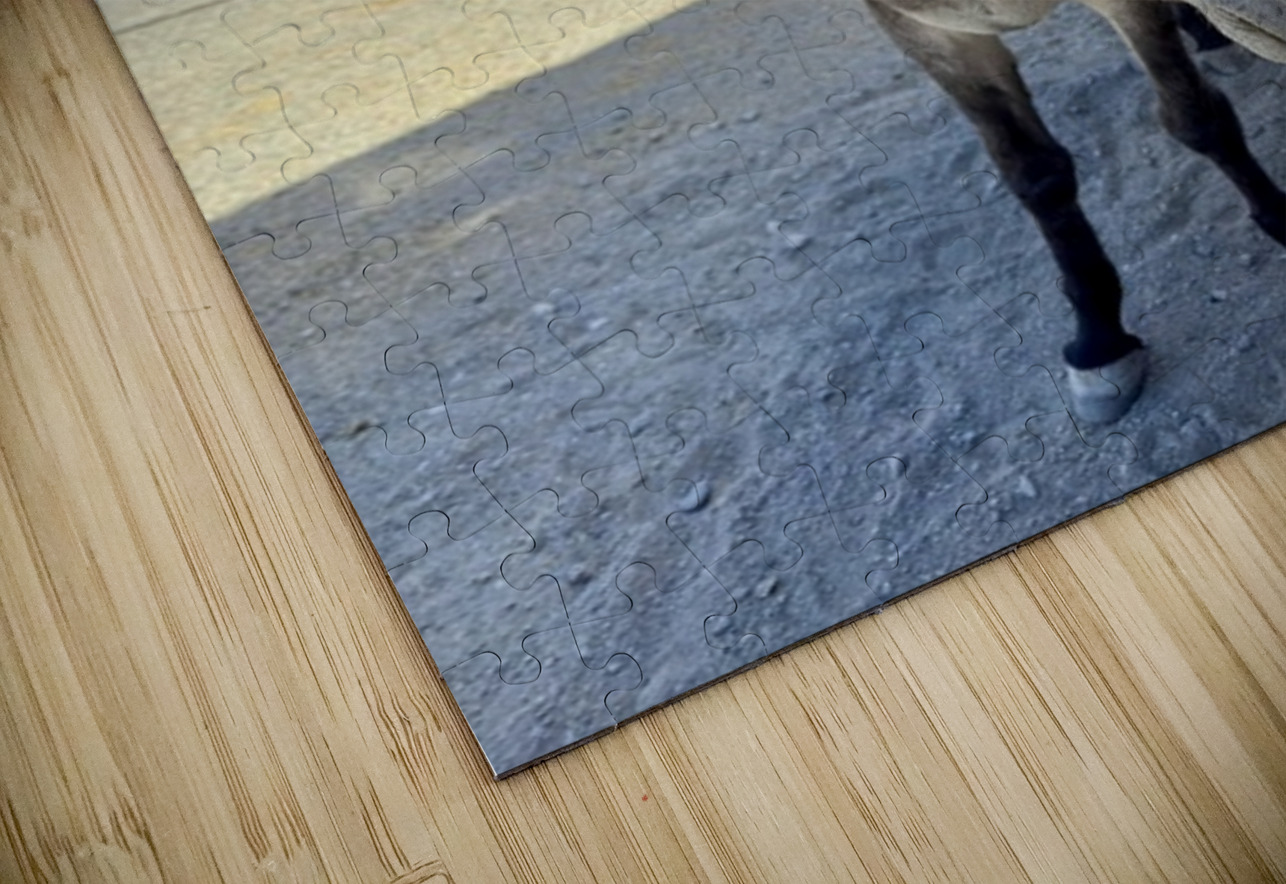 Oatman resident Leslie Affeldt Photography Puzzle